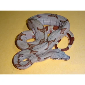 Super Salmon Boas for Sale