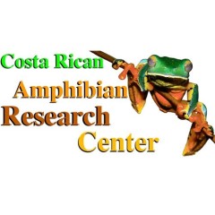 92cfa8d4ae5d114e7b27850fca1eb70a