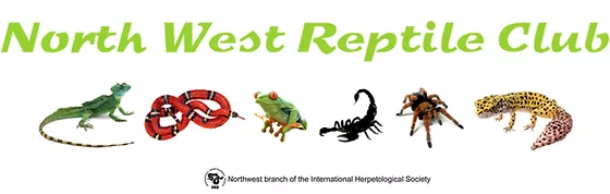 Bannner with IHS logo